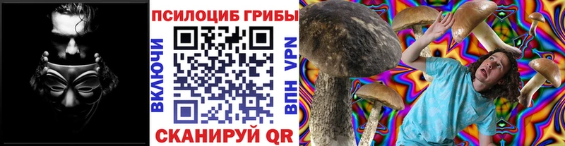 Галлюциногенные грибы прущие грибы  Шумерля 
